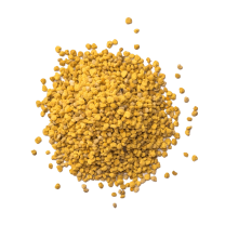 Polline Biologico